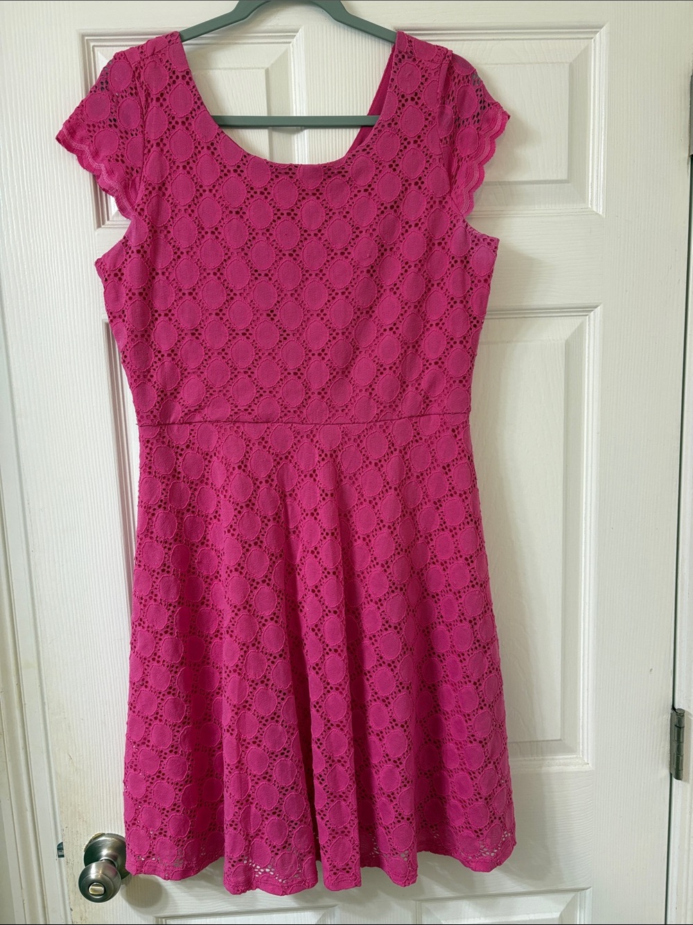 Ronni Nicole Pink Lace Fit & Flare Dress